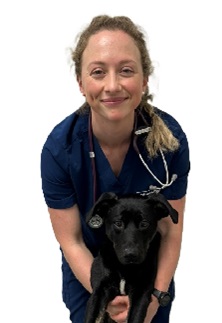 Vet