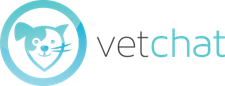 vet chat